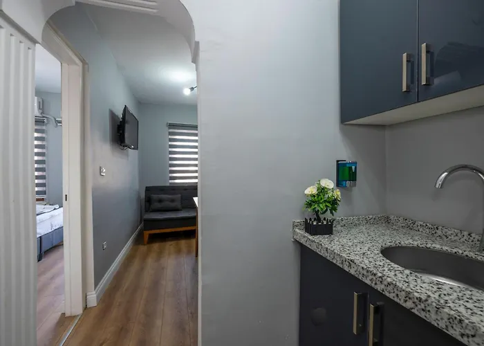 아파트호텔 Butterfly House 3*