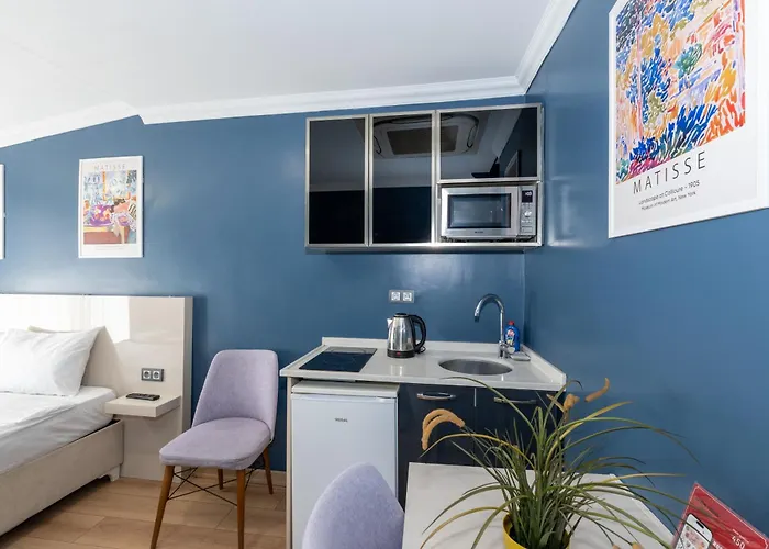 아파트호텔 Butterfly House 이스탄불